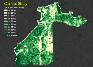 Thumbnail picture for Urban Tree Canopy presentation